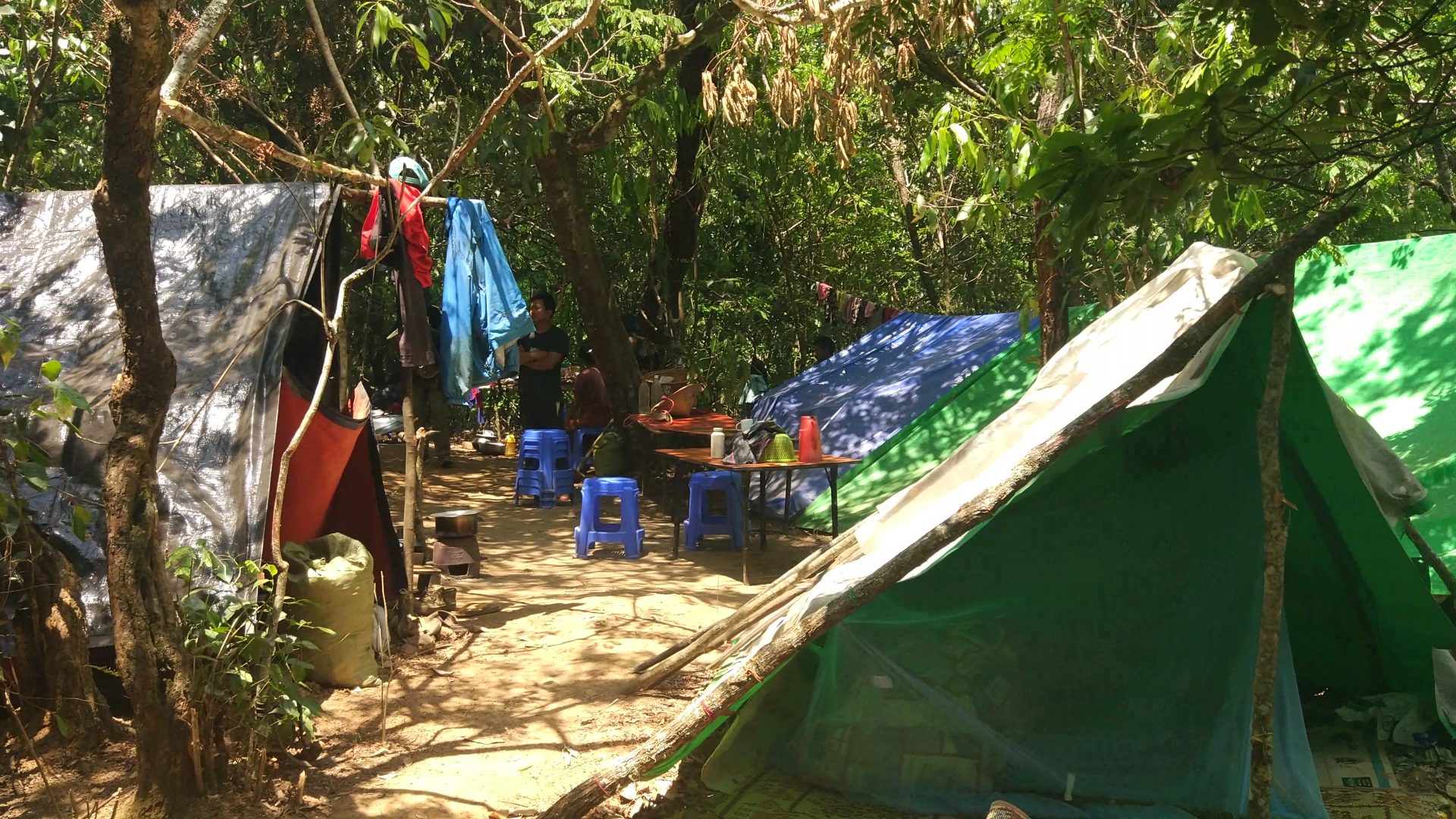 Tlanglo tende foresta